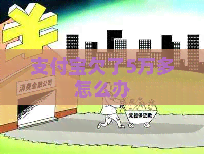 信用卡欠了5万多怎么办