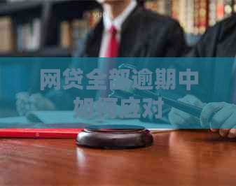 网贷全部逾期中如何应对
