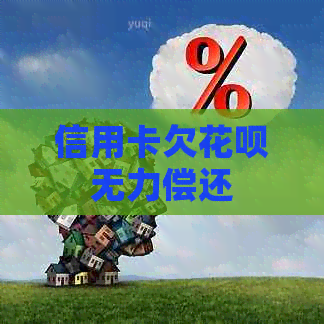 信用卡欠白条无力偿还