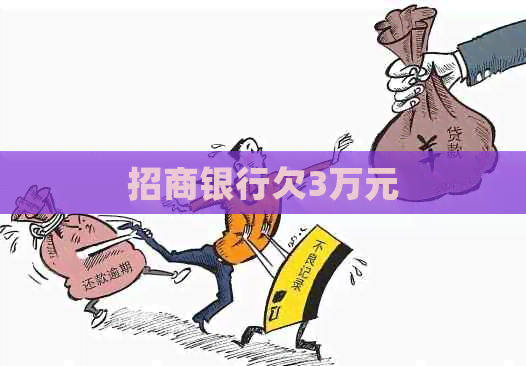 招商银行欠3万元