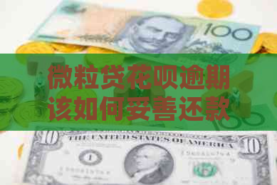 微粒贷白条逾期该如何妥善还款
