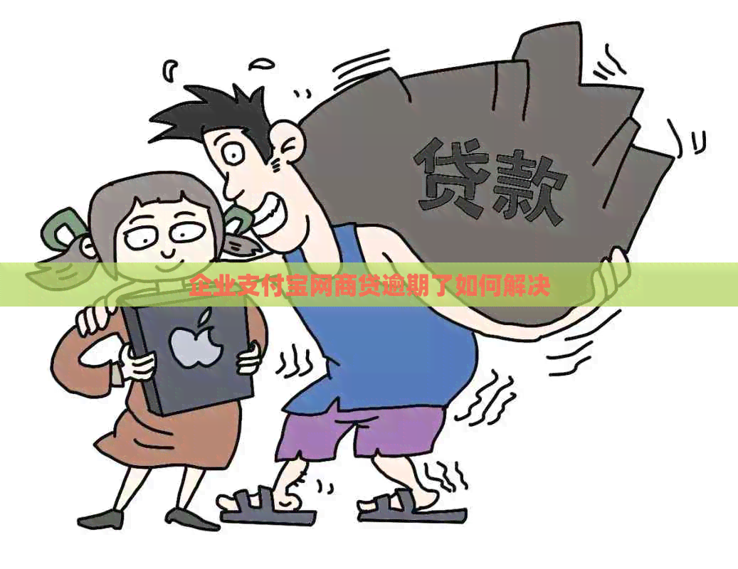 企业信用卡白条贷逾期了如何解决