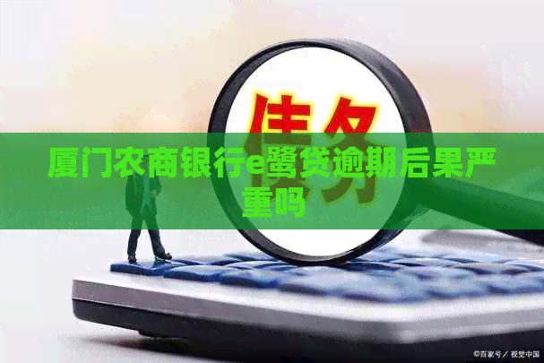 厦门农商银行e鹭贷逾期后果严重吗