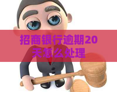 招商银行逾期20天怎么处理