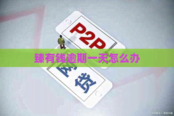 臻有钱逾期一天怎么办