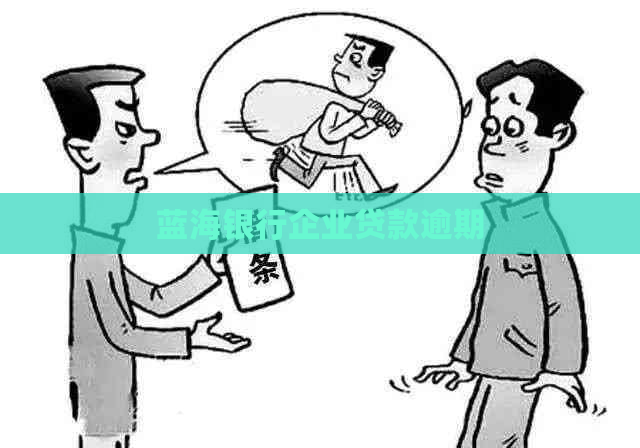 蓝海银行企业贷款逾期