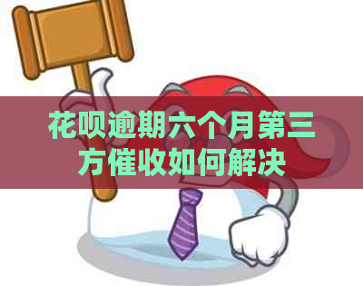 白条逾期六个月第三方如何解决