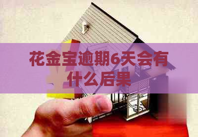 花金宝逾期6天会有什么后果