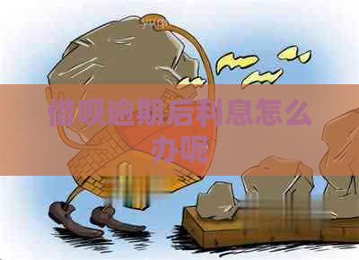 信用卡逾期后利息怎么办呢