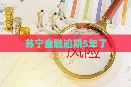 苏宁金融逾期5年了