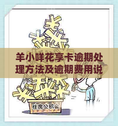 羊小咩花享卡逾期处理方法及逾期费用说明