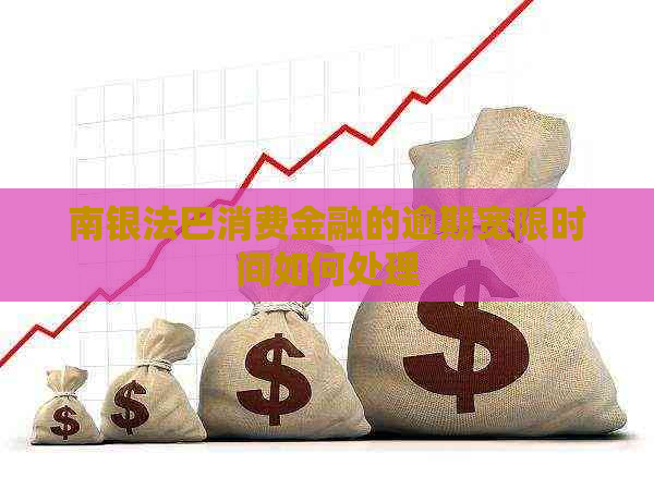 南银法巴消费金融的逾期宽限时间如何处理