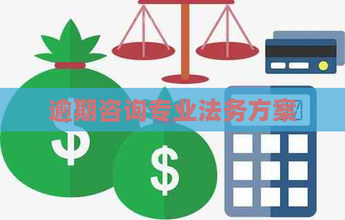 逾期咨询专业法务方案