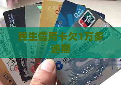民生信用卡欠1万多逾期