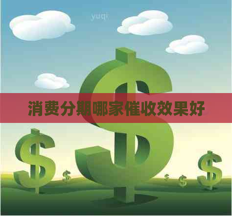 消费分期哪家效果好