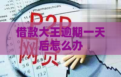借款大王逾期一天后怎么办