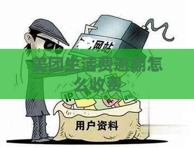 美团生活费逾期怎么收费