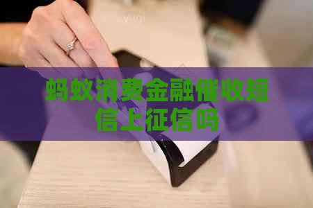 蚂蚁消费金融短信上吗