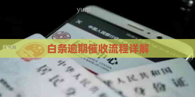 白条逾期流程详解