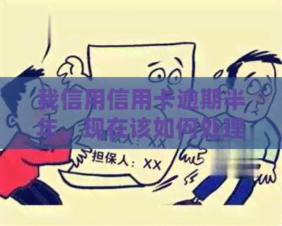我信用信用卡逾期半年，现在该如何处理？