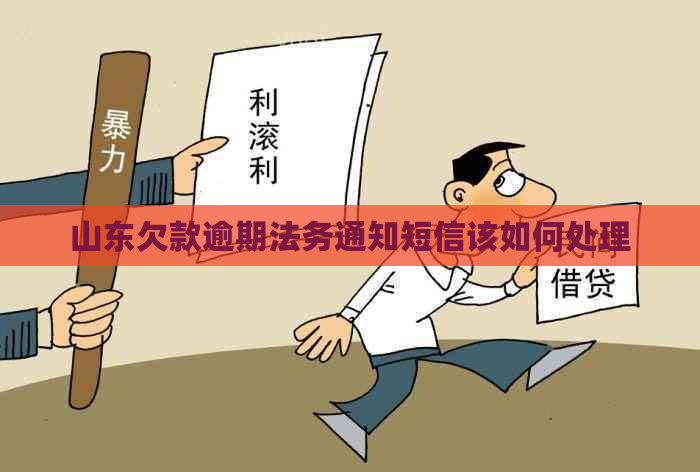 山东欠款逾期法务通知短信该如何处理