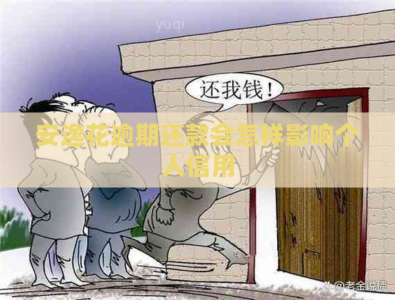 安逸花逾期还款会怎样影响个人信用