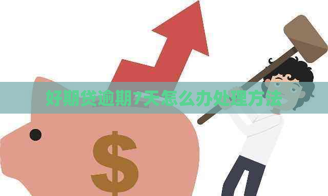 好期贷逾期7天怎么办处理方法