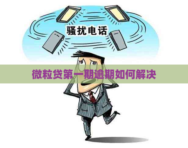 微粒贷之一期逾期如何解决