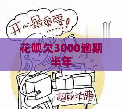 白条欠3000逾期半年