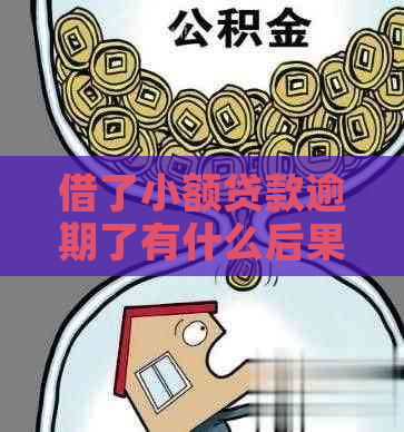 借了小额贷款逾期了有什么后果如何应对