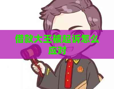 借款大王被起诉怎么应对