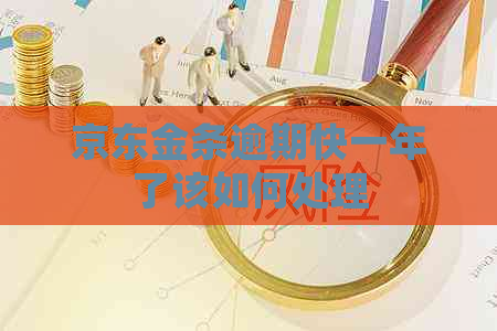 京东金条逾期快一年了该如何处理