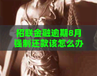 招联金融逾期8月强制还款该怎么办