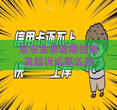 京东金条逾期给我发起诉讼怎么办