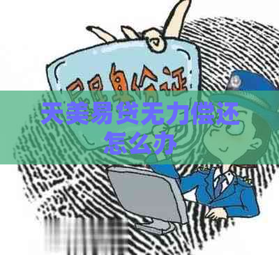天美易贷无力偿还怎么办
