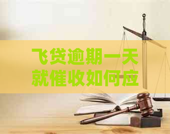 飞贷逾期一天就如何应对