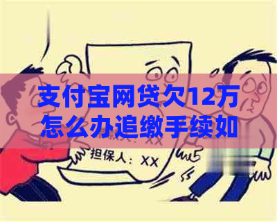 信用卡网贷欠12万怎么办追缴手续如何处理