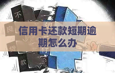 信用卡还款短期逾期怎么办