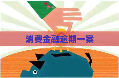 消费金融逾期一案