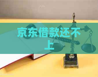 京东借款还不上