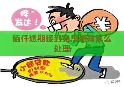 佰仟逾期接到免息通知怎么处理