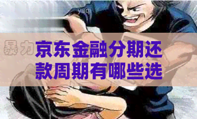京东金融分期还款周期有哪些选择