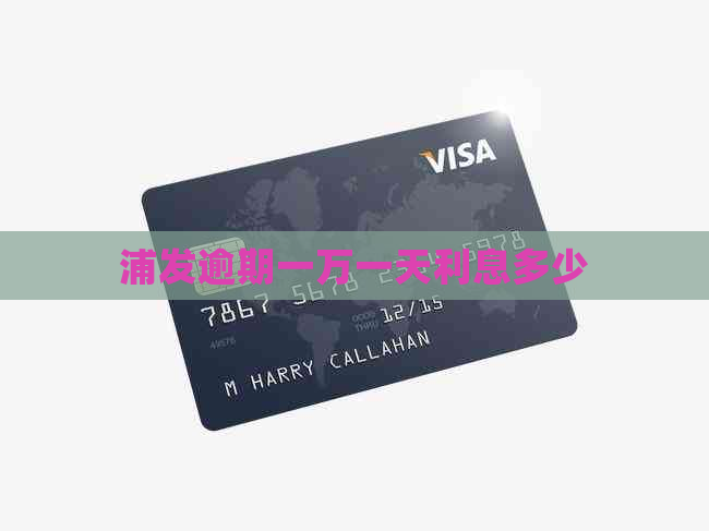 浦发逾期一万一天利息多少
