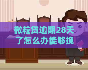 微粒贷逾期28天了怎么办能够挽回损失