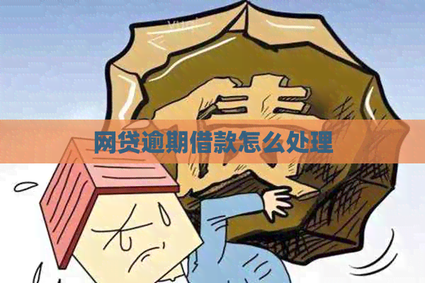 网贷逾期借款怎么处理