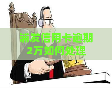 浦发信用卡逾期2万如何处理