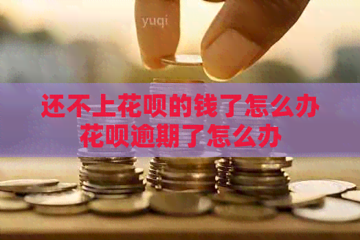 还不上白条的钱了怎么办白条逾期了怎么办