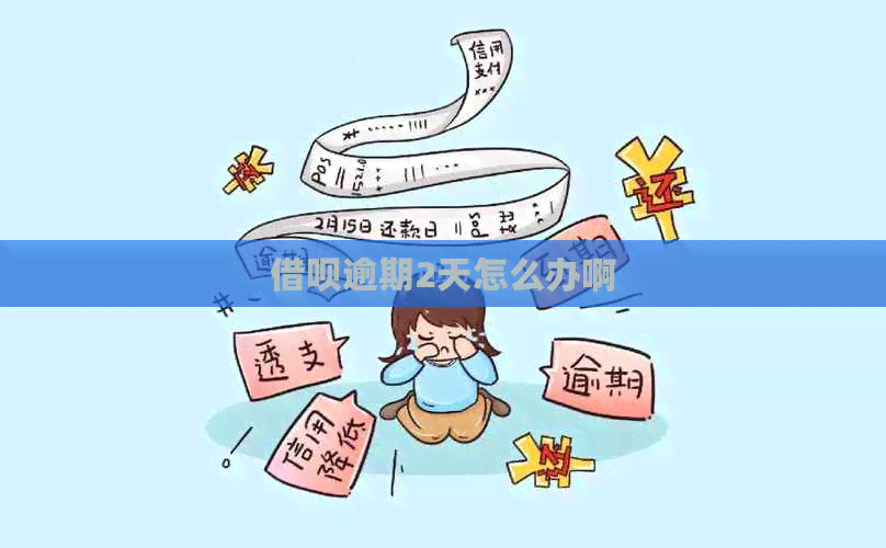 信用卡逾期2天怎么办啊