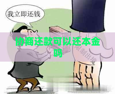协商还款可以还本金吗