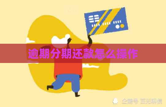 逾期分期还款怎么操作
